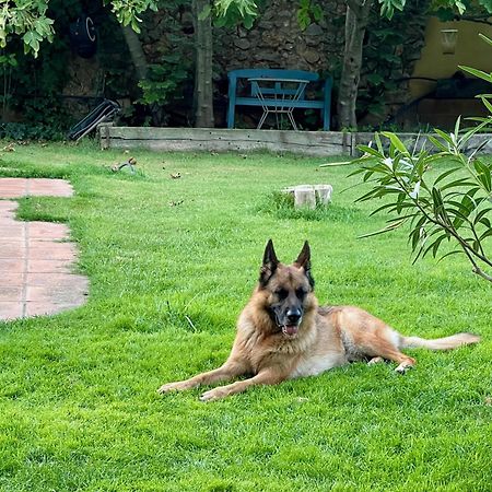 Santa Caterina - Dog Friendly With Garden Villa Sobrestany Exteriör bild