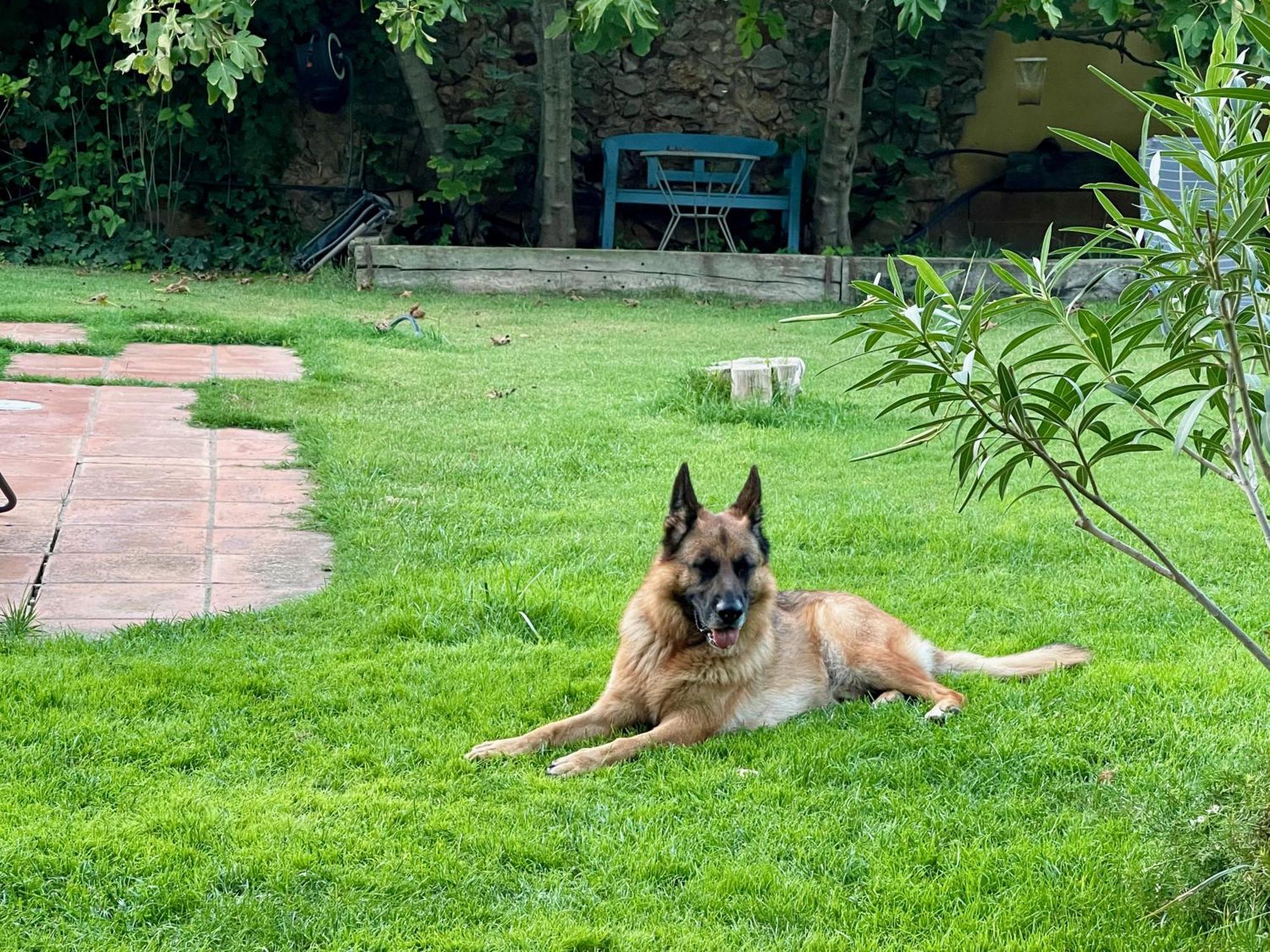 Santa Caterina - Dog Friendly With Garden Villa Sobrestany Exteriör bild